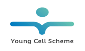 Hapet thirrja: Raundi XIII i Young Cell Scheme, Programi i BE-së për bursa post-diplomike